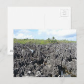 hel op de Grote Caymaneilanden Briefkaart (Voorkant / Achterkant)