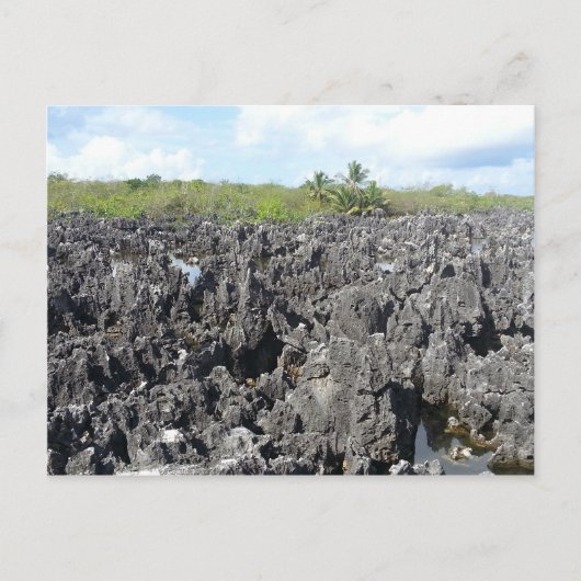 hel op de Grote Caymaneilanden Briefkaart (Voorkant)