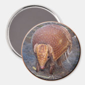 Helaine's Armadillo Magneet (Voorkant / Achterkant)