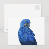 Helblauw Hyacinth Macaw Briefkaart (Voorkant / Achterkant)