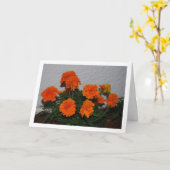 Held Oranje Afbeeldingsportret van Samengestelde M Kaart (Gele Bloem)
