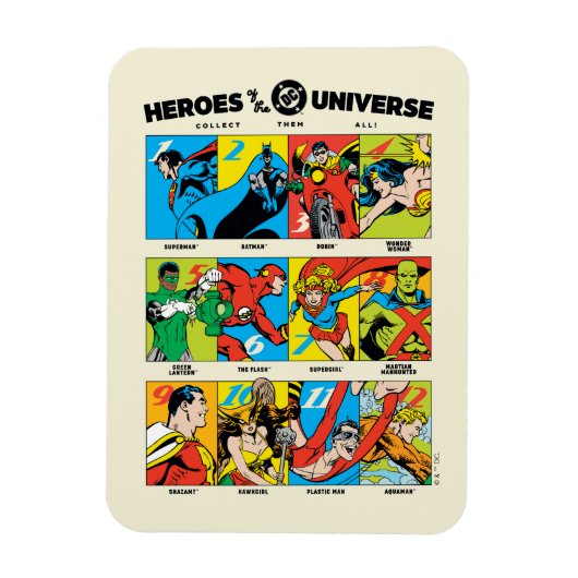Helden van het DC™ Universum Magneet (Verticaal)