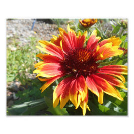 Helder branden foto afdruk