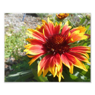 Helder branden foto afdruk