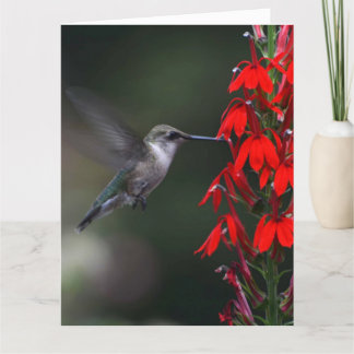 Helder de dag van iemand met deze mooie kaart op!!