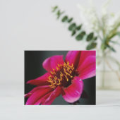 Helder en gedurfd Briefkaart (Staand voorkant)