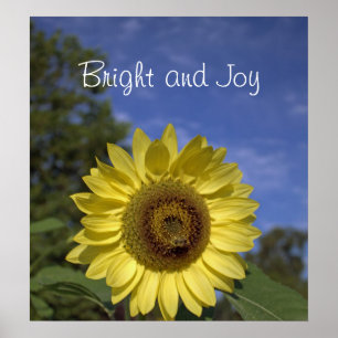 Helder en geniet van perfecte zonnebloem in de bla poster