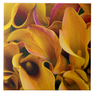 Helder gekleurde calla's bij de tegeltje