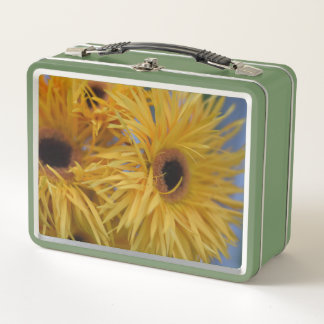 Helder Gele Madelief Macro Bloem Lunch Emmer – Tri