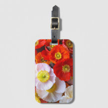Helder Klaproos Bloemen