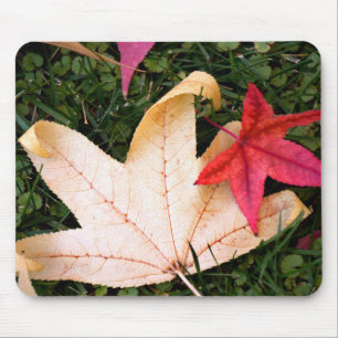 Helder kleurrijke mantel Leaf Muismat