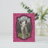 Helder N-mousserende lama in warmroze Briefkaart (Staand voorkant)