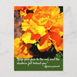 Helder Oranje Afrikool Bloemen Inspirerende Citaat Briefkaart