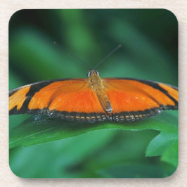 Helder Oranje en zwarte vlinder op leder Bier Onderzetter