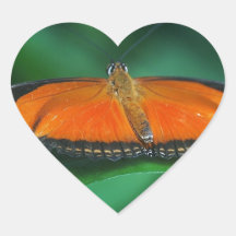 Helder Oranje en zwarte vlinder op leder