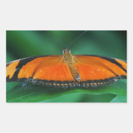 Helder Oranje en zwarte vlinder op leder Rechthoekige Sticker