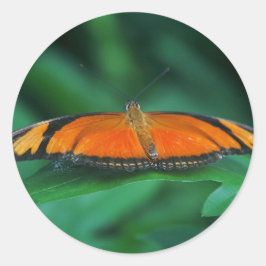 Helder Oranje en zwarte vlinder op leder Ronde Sticker