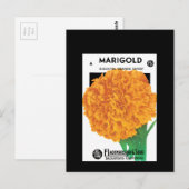 Helder Oranje Marigold Briefkaart (Voorkant / Achterkant)