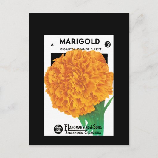 Helder Oranje Marigold Briefkaart (Voorkant)