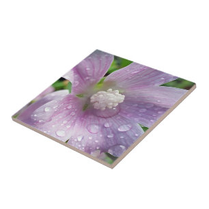 Helder paars tegeltje