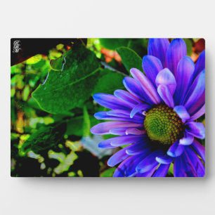 Helder paarse bloem fotoplaat
