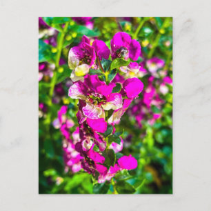 Helder Roze Bloem Spike met Dauw Briefkaart