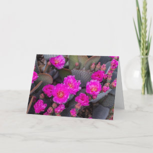 Helder Roze Cactus Bloem Aan Je Denken Custom Kaart