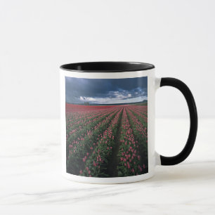 Helder roze en rode tulpen gloeien onder donker mok