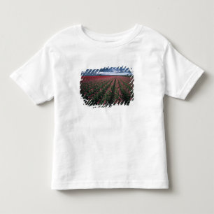 Helder roze en rode tulpen lichten op onder donker kinder shirts