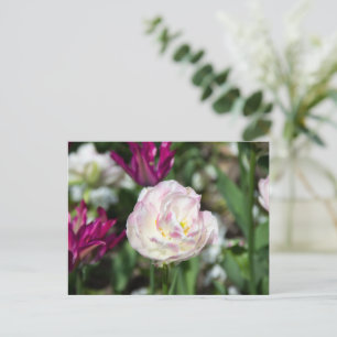 Helder roze tulpen op een zonnige dag briefkaart
