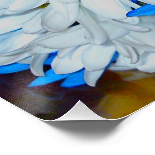 Helder wit en blauw blauw bladerlijk mengsel Poste Perfect Poster (Hoek)