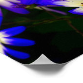 Heldere blauwe en witte digitale bloemen poster (Hoek)