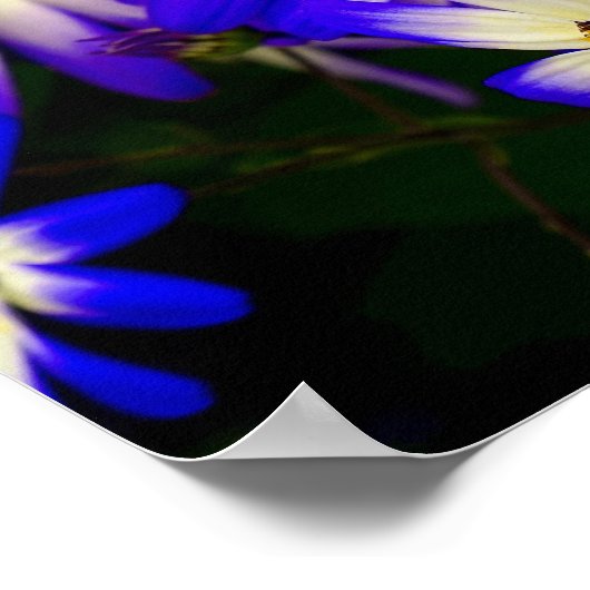 Heldere blauwe en witte digitale bloemen poster (Hoek)