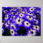 Heldere blauwe en witte digitale bloemen poster (Voorkant)
