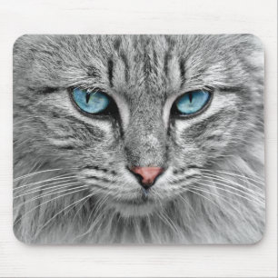 Heldere blauwe ogen Monochroom Kat Portrait Muismat