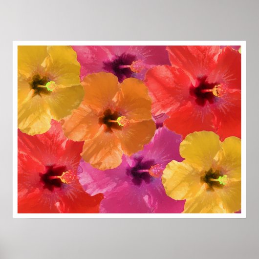 Heldere bloemen poster (Voorkant)