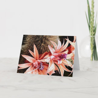 heldere cactus feestdagen kaart