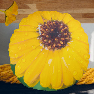 Heldere gele bloem na regen rond kussen