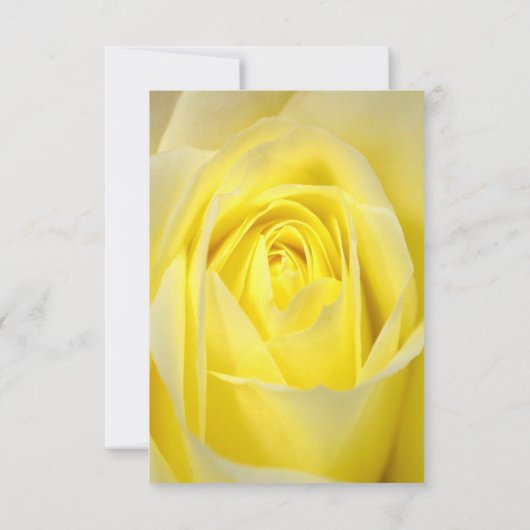 Heldere gele rozenbloem R.S.V.P. RSVP Kaartje (Achterkant)