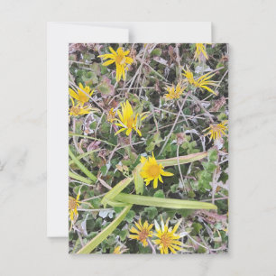 Heldere gele wilde bloemen in Natural Meadow Briefkaart