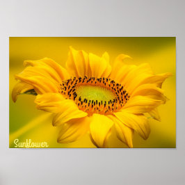 Heldere Gele Zonnebloem Matte Wall Art Poster