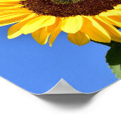 Heldere gele zonnebloem poster (Hoek)