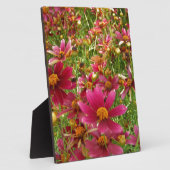 Heldere Hot Pink en gele Daisy bloemen Fotoplaat (Zijkant)