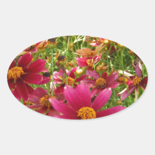 Heldere Hot Pink en gele Daisy bloemen Ovale Sticker