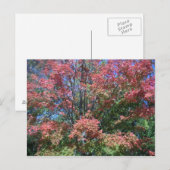 heldere kleuren van bomen en bladeren briefkaart (Voorkant / Achterkant)