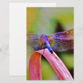 Heldere regenboogroze dragonvlieg briefpapier (Voorkant / Achterkant)