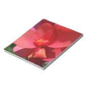 heldere rode bladen notitieblok (Gedraaid)