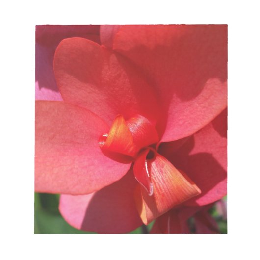 heldere rode bladen notitieblok (Voorkant)