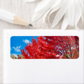 Heldere rode bladeren in de herfst etiket (Insitu)