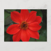 Heldere rode ventilator briefkaart (Voorkant)